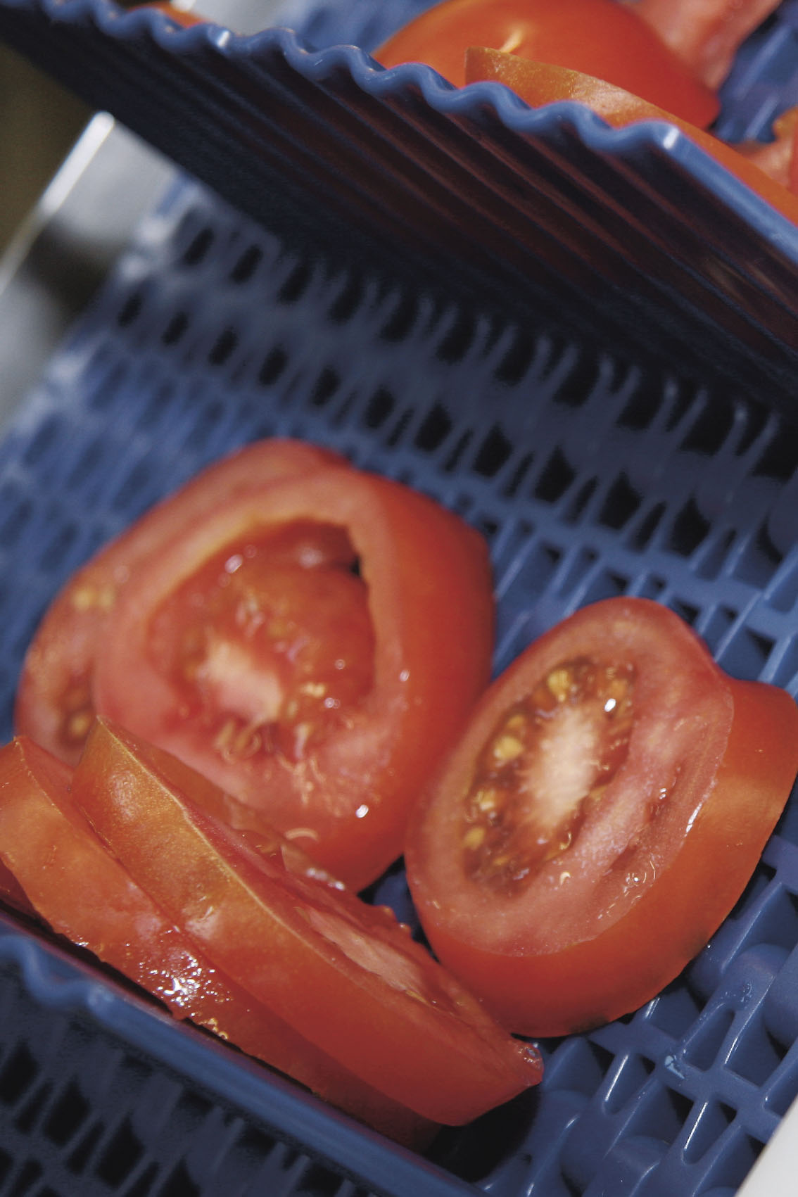 bandas transportadoras para el sector alimentación