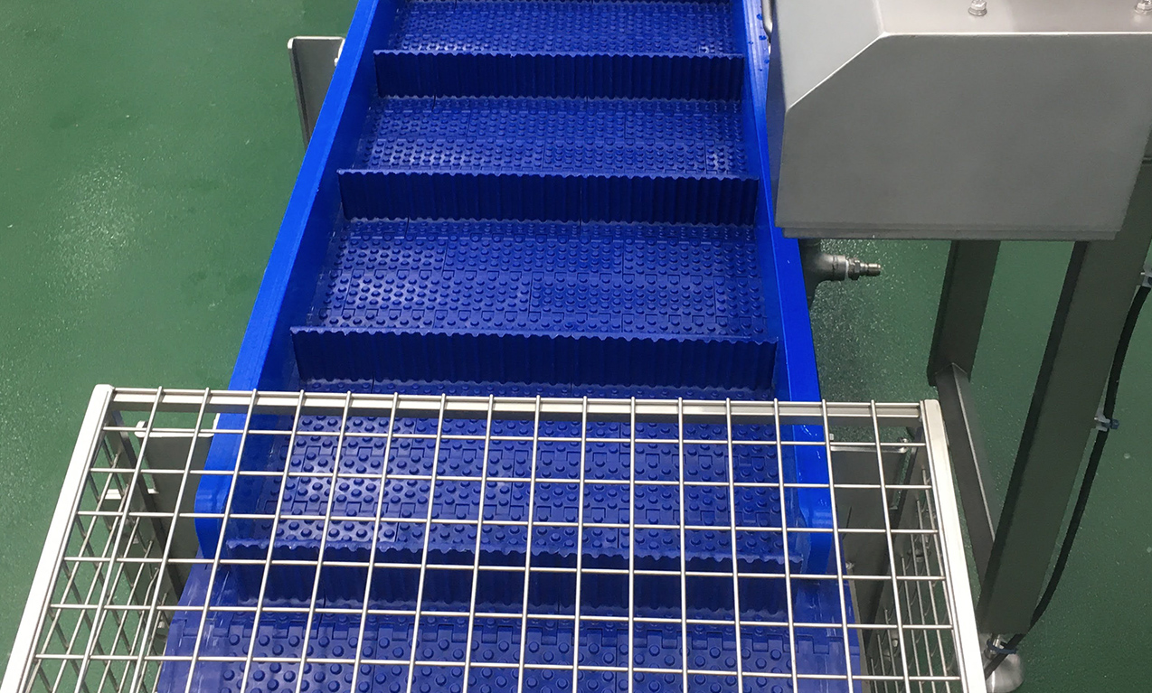 cintas transportadoras alimentación